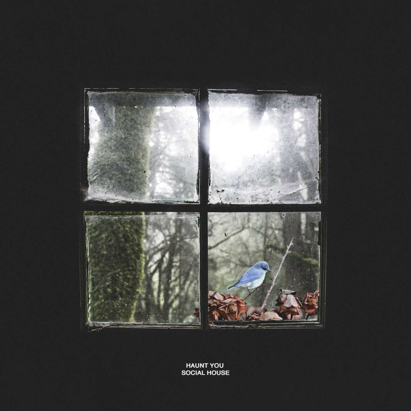 Social House - Haunt You